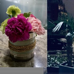 Jardin de Palmeras w/Alexis & Jule