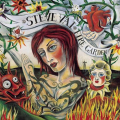 Steve Vai - Warm Regards (Guitar Cover)