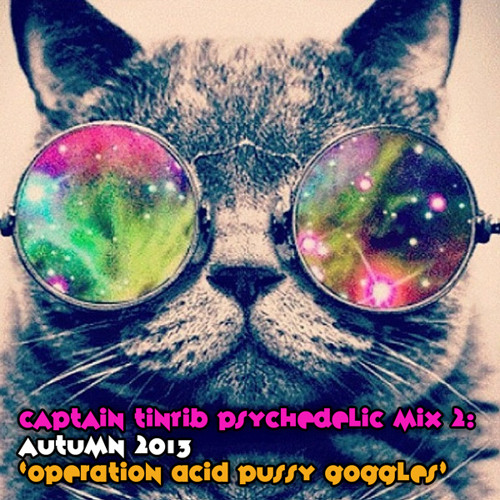 Captain Tinrib - Full On Psy Mix 10-08-2013