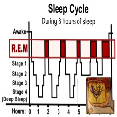 s/o Jack Wilkinson on tha cam prod. crazy dude hosted by @mandylicioussss