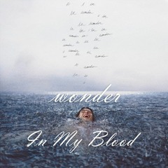 Shawn Mendes - The Wonder In My Blood (FearZ Remix)