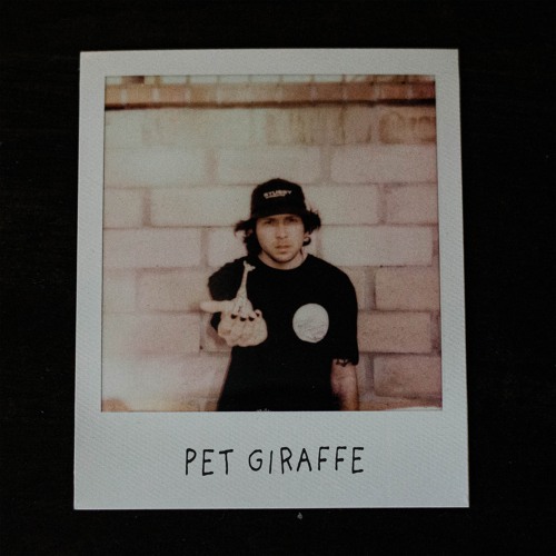 Pet Giraffe
