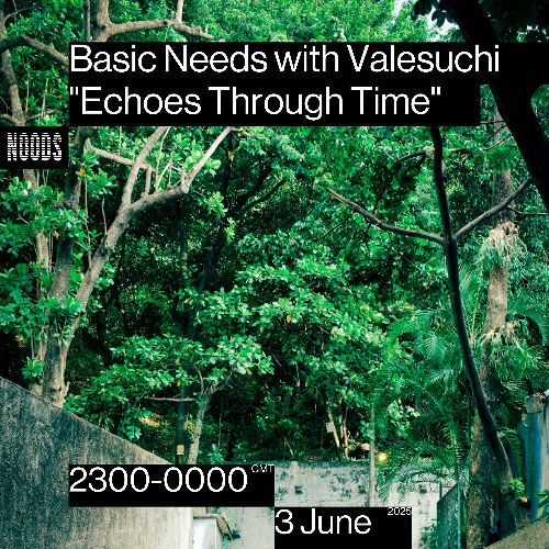Basic Needs with Valesuchi: "Echoes Through Time"