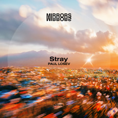 Stray [Mirrors] < clip >