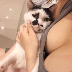 хочу уснуть на твоих сиськах (не буди меня)