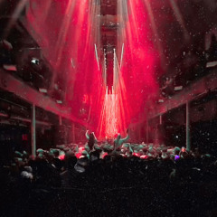 Bright Lights x Sakura