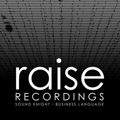 Sound Knight - Business Language