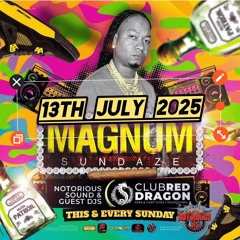 NOTORIOUS INT SOUND "DJ MAGNUM🇬🇾/SEENUP🌏" @MAGNUM SUNDAZE "CLUB RED🚩 DRGAON🐲 13TH JULY,2025.mp3