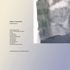 NAIND AR-31 L'hermite Des Sombres - Emotion Rectangle [Ep Ohnevergent song 04]