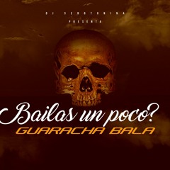 Set hpp full Zapateo