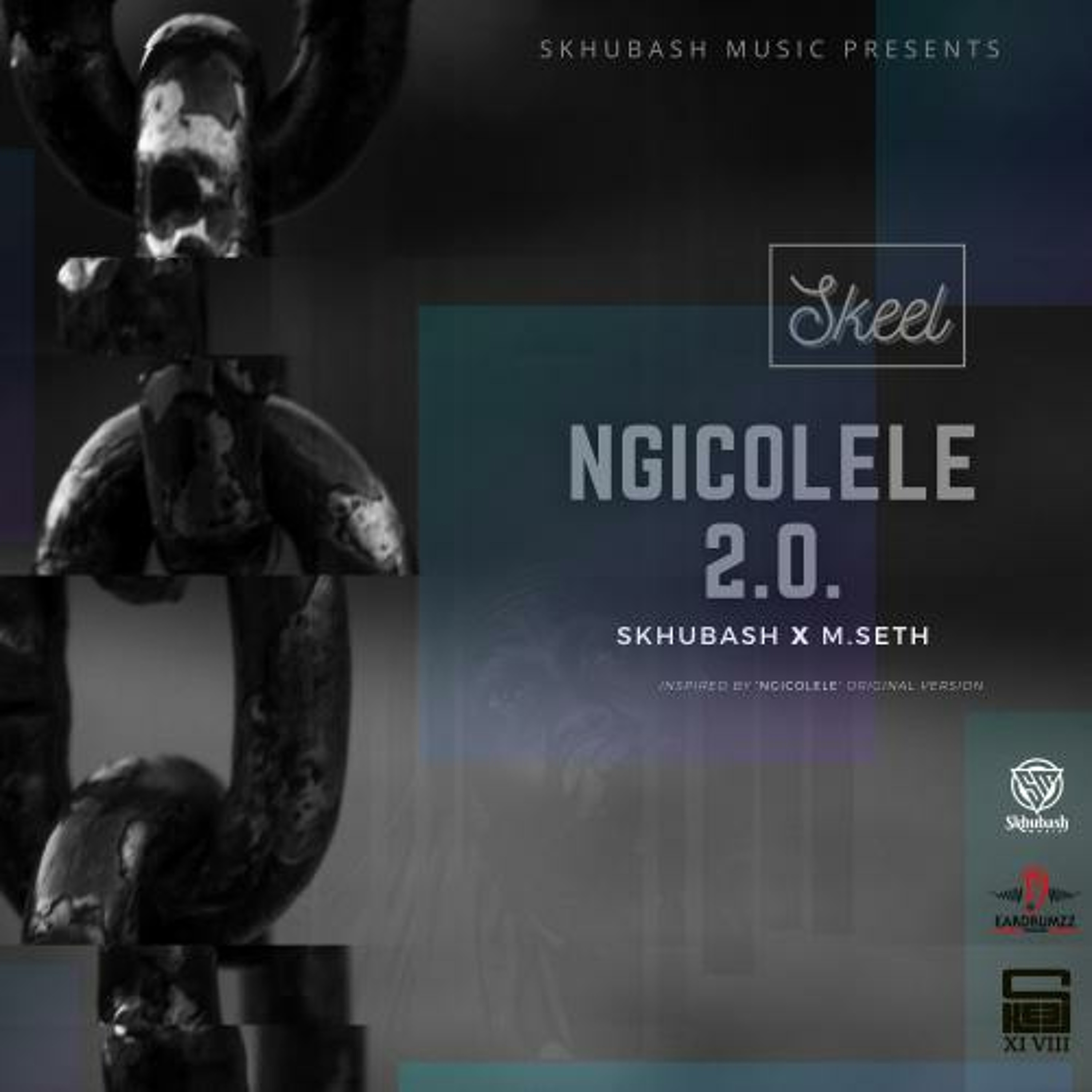 Ngicolele 2.0. episode artwork