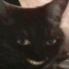 ich musste mir soundcloud account machen weil das nicht auf spotify gibt