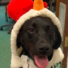 christmas lights 25 all parts.m4a