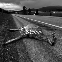 CARRION (prod. by philo)