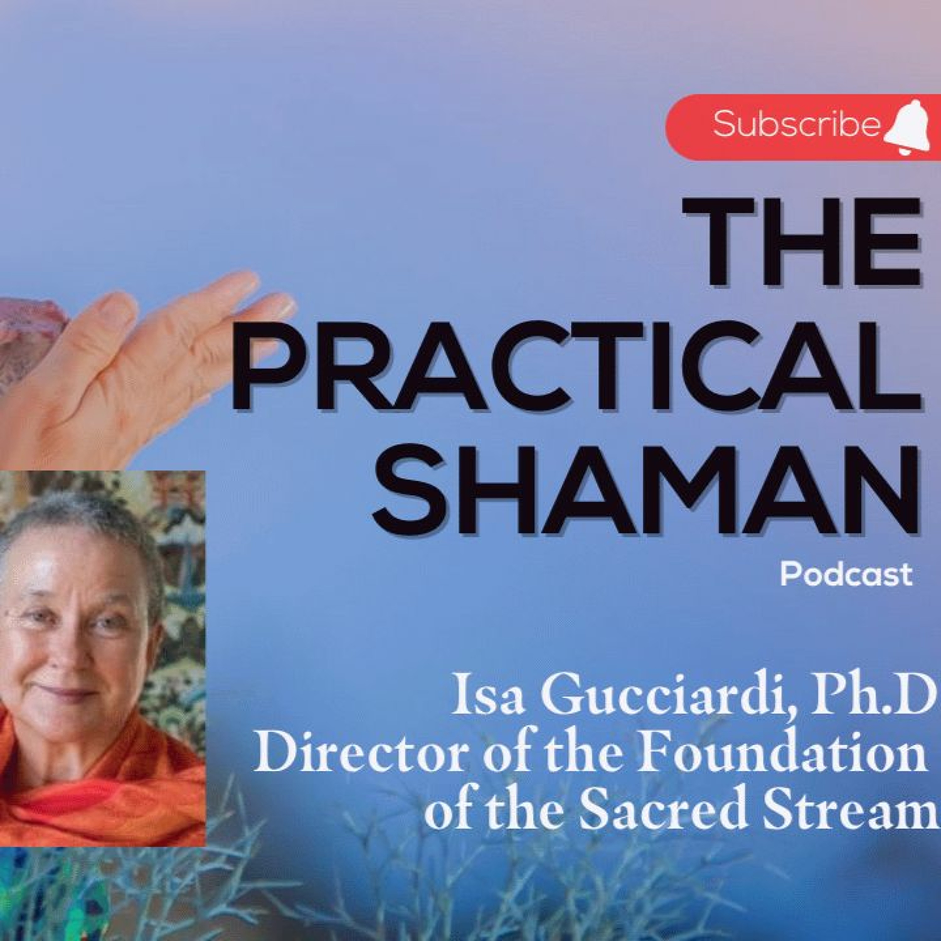 The Practical Shaman