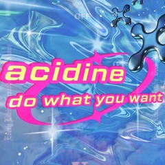 ACIDINE - Do What You Want