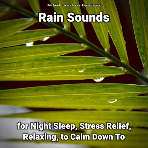Rain Sounds for Stress Relief and Relaxing Pt. 12