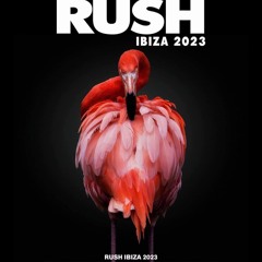 Doctor Feelgood / Live at Rush Ibiza, Tantra / July 2023