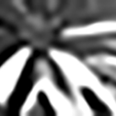 bonxpf - saying nun p. DB808, kat3bi, bonxpf