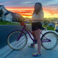 Beach Bike (Demo)