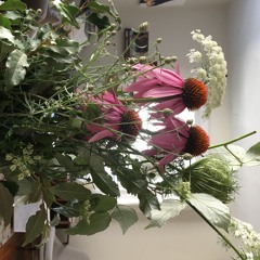 Summer 2024 - July 29 Three