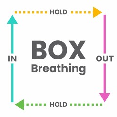 Guided Meditation - Box Breath