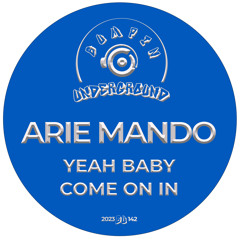 Arie Mando - Yeah Baby Come On In