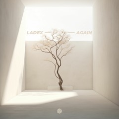 Ladex - Again