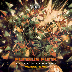 Fungus Funk - Still Dreaming (MERGEL Rmx)