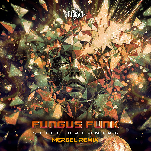 Fungus Funk - Still Dreaming (MERGEL Rmx)