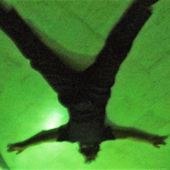 I HATE A GURR , I LOVE A GURR