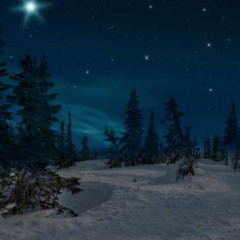DARK SNOW