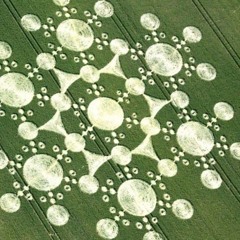 Progressive Psytrance ( Goa, Minimal, Progressive, Hitech, Darkprog, Psy, Psychedelic, DNB ) - 4