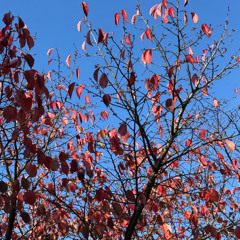 mts | Bordello Aperitivo | 3-10-2025