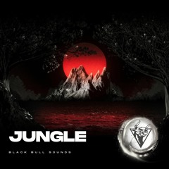 💥 Jungle - Uk Drill Type Beat  [144 Bpm / F minor]