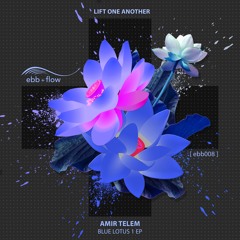 PREMIERE: Amir Telem - Lift One Another (Original Mix) [ebb + flow]