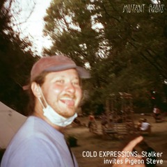 COLD EXPRESSIONS: Stalker invites Pigeon Steve [25.01.2023]