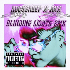Blinding Lights - HOLYSHEEP X AKA RMX 2022