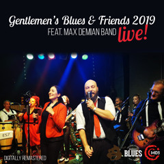 Shake a Tailfeather (live, feat. Max Demian Band)