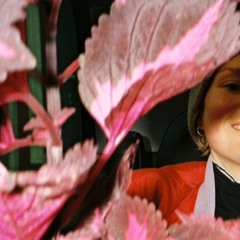 5 Euro fürs Stillsitzen