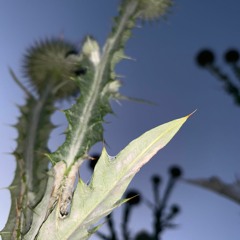 The sky is blue with ishi____vu [001] live at tukio March18