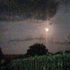 i was wrong (kuromee)