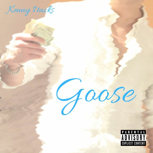 Stream Goose by T-Rizz | Listen online for free on SoundCloud