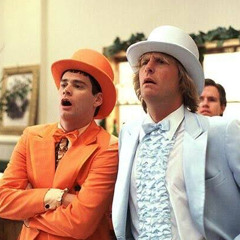 3.5 of that dumb and dumber