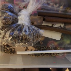 Kush Juice - Scrubs Freestyle