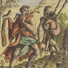 The Perspective of a Chameleon