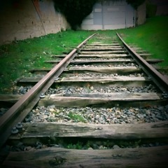 05 Straight Line Cat