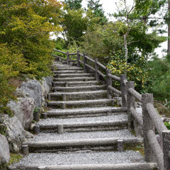 The Path