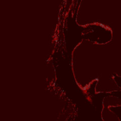 Mareux- the perfect girl (instrumental/sped up)