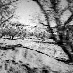 Conversazioni #1 (Scrooge / Timeline)